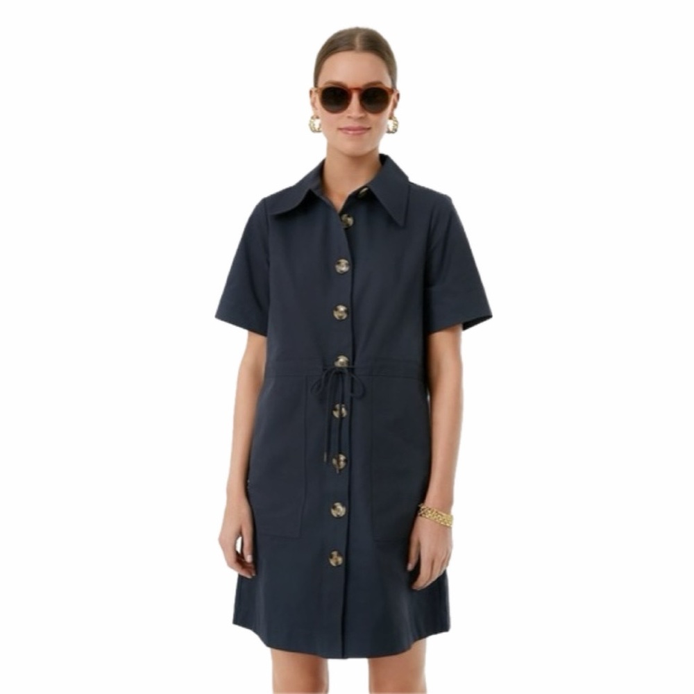 Tuckernuck Navy Short-Sleeve Button Front Mini Dress